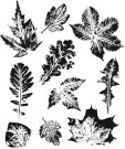 Tim Holtz Stampers Anonymous Cling Stamps - Leaf Prints 2
